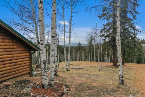 34 Nebraska Circle Florissant CO 80816
