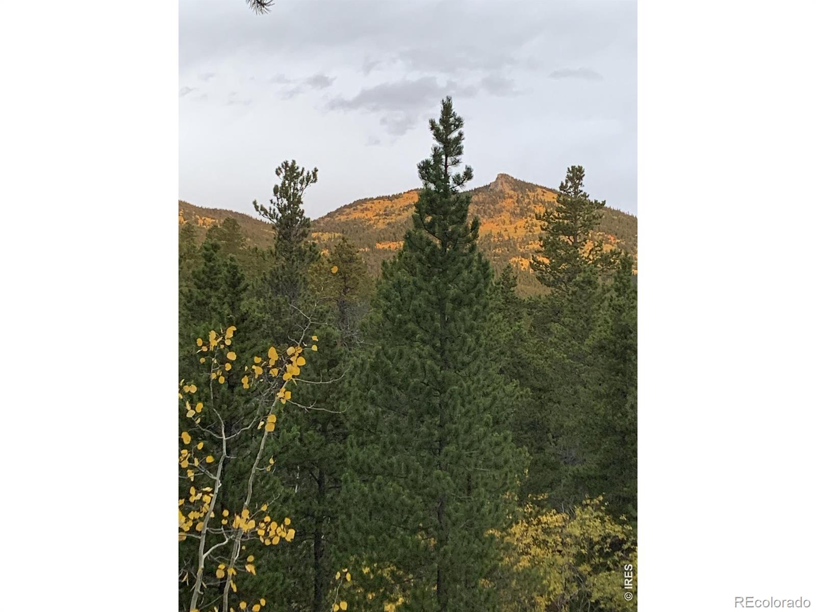 34425 Stanton Drive Golden CO 80403