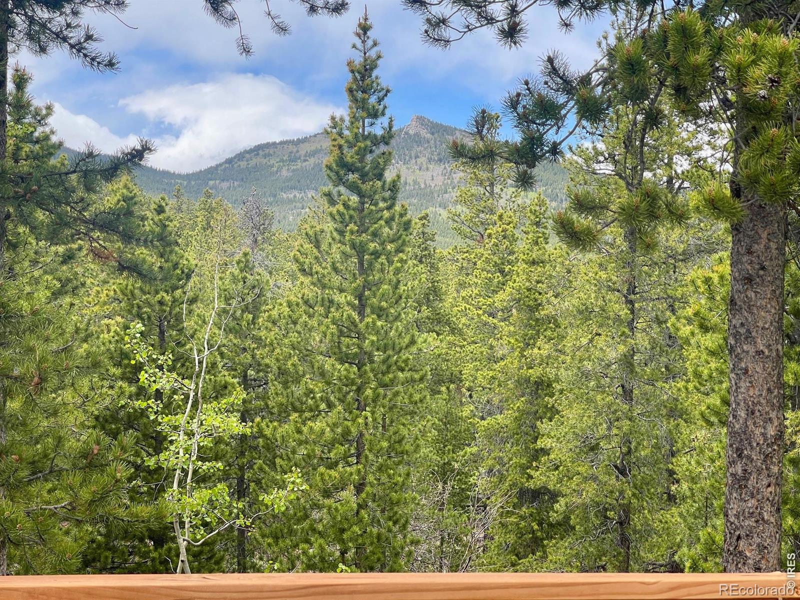 34425 Stanton Drive Golden CO 80403