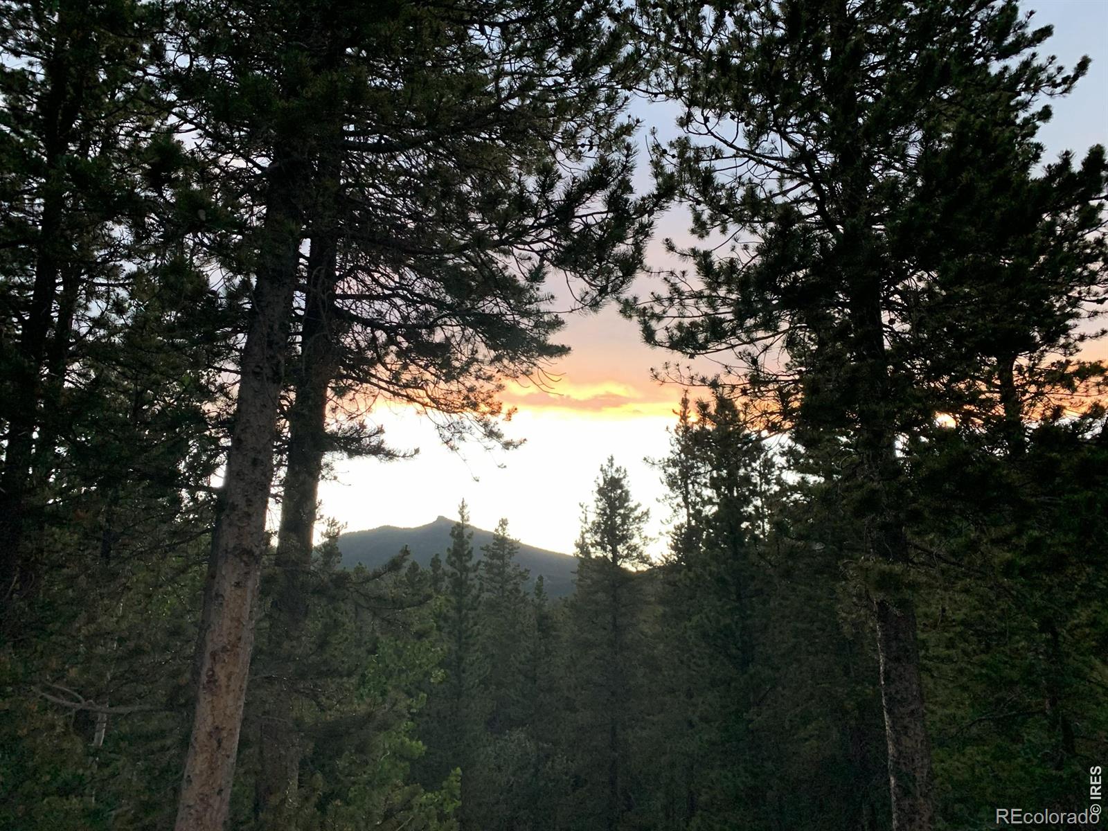 34425 Stanton Drive Golden CO 80403