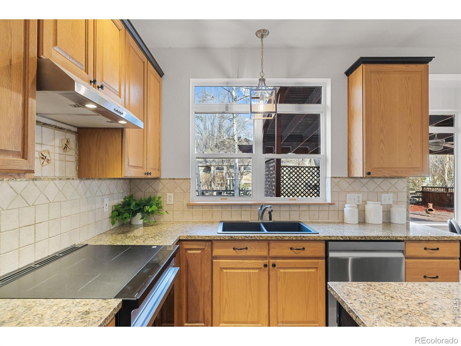 2307 Bluebird Drive Longmont CO 80504