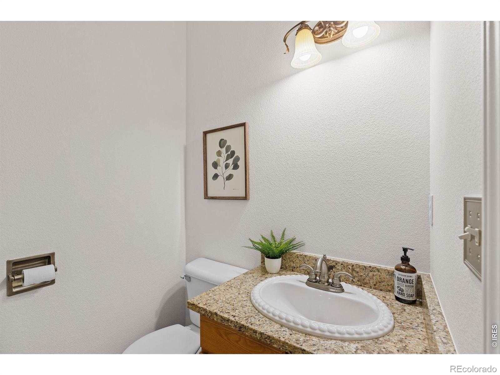 2307 Bluebird Drive Longmont CO 80504