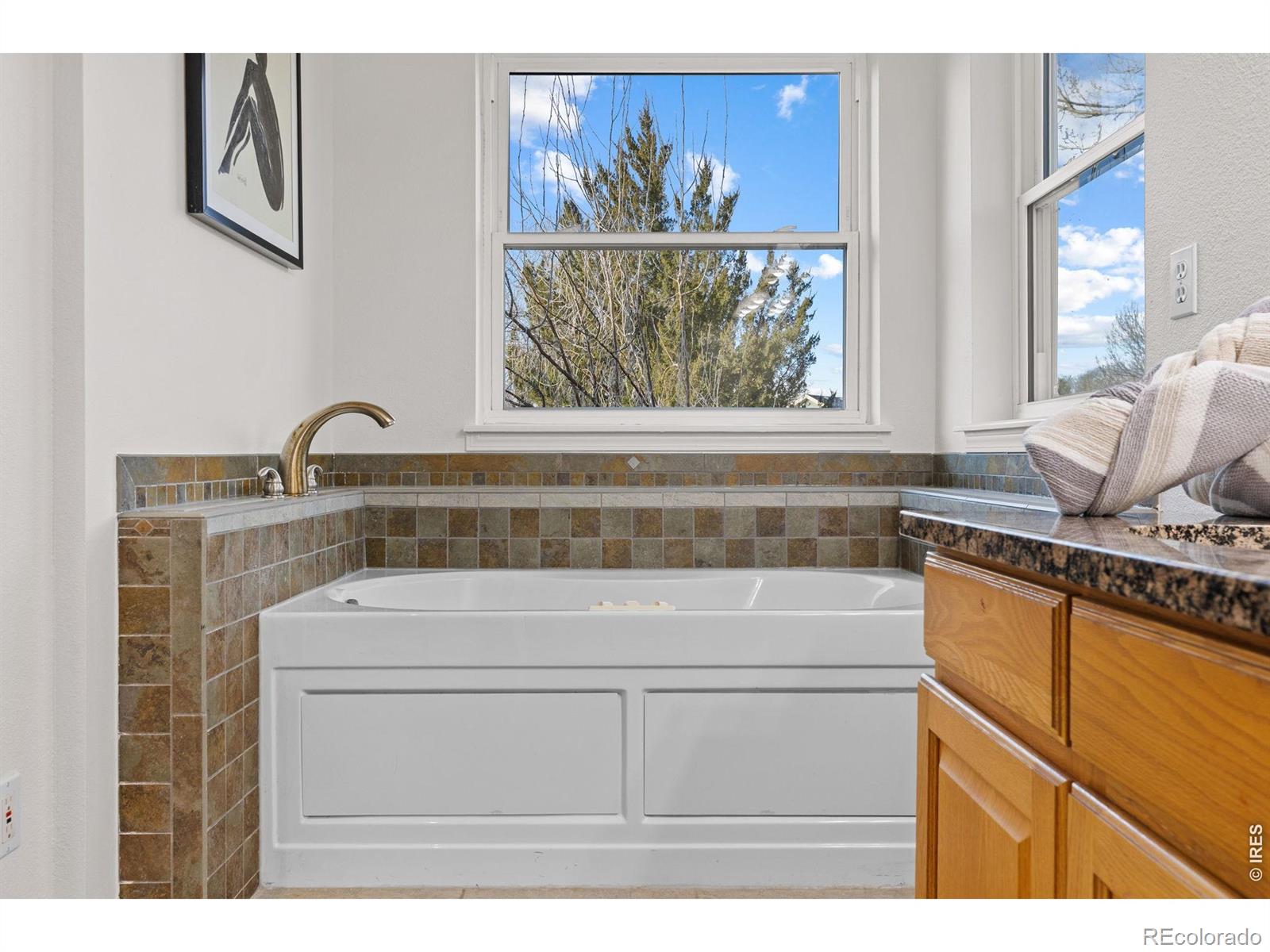 2307 Bluebird Drive Longmont CO 80504