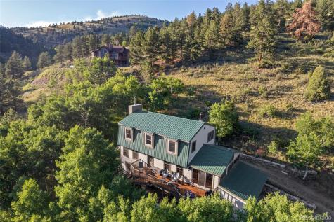 67 Thistle Trail Idaho Springs CO 80452