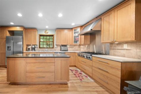 67 Thistle Trail Idaho Springs CO 80452