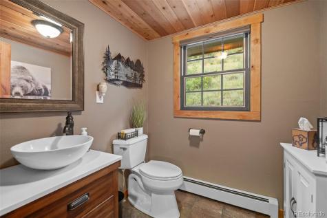 67 Thistle Trail Idaho Springs CO 80452