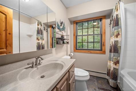 67 Thistle Trail Idaho Springs CO 80452