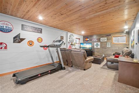 67 Thistle Trail Idaho Springs CO 80452