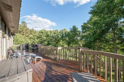 67 Thistle Trail Idaho Springs CO 80452
