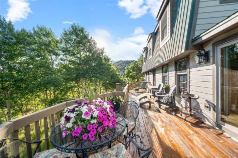 67 Thistle Trail Idaho Springs CO 80452