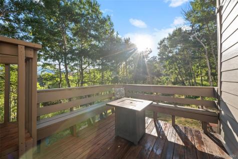 67 Thistle Trail Idaho Springs CO 80452