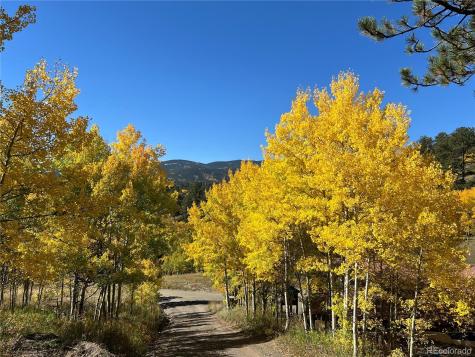 67 Thistle Trail Idaho Springs CO 80452