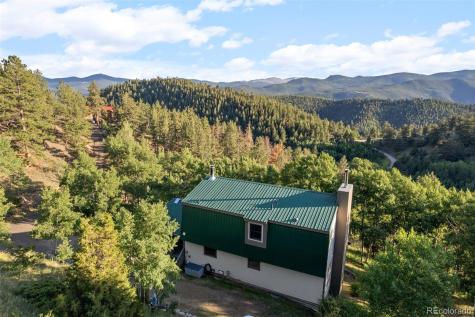 67 Thistle Trail Idaho Springs CO 80452