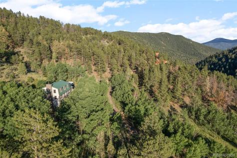 67 Thistle Trail Idaho Springs CO 80452