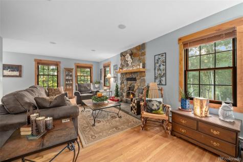 67 Thistle Trail Idaho Springs CO 80452