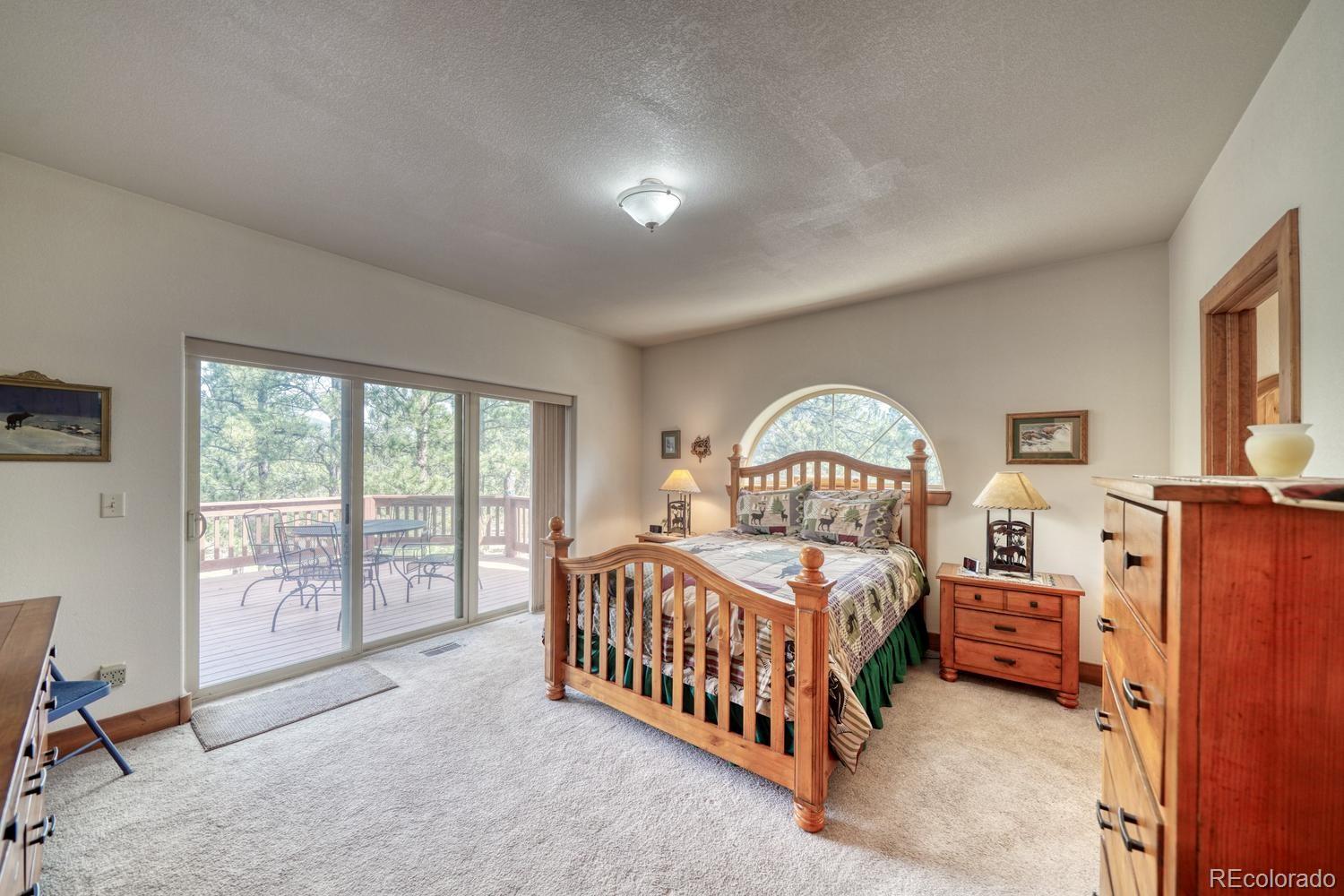 30800 West Ridge Buena Vista CO 81211