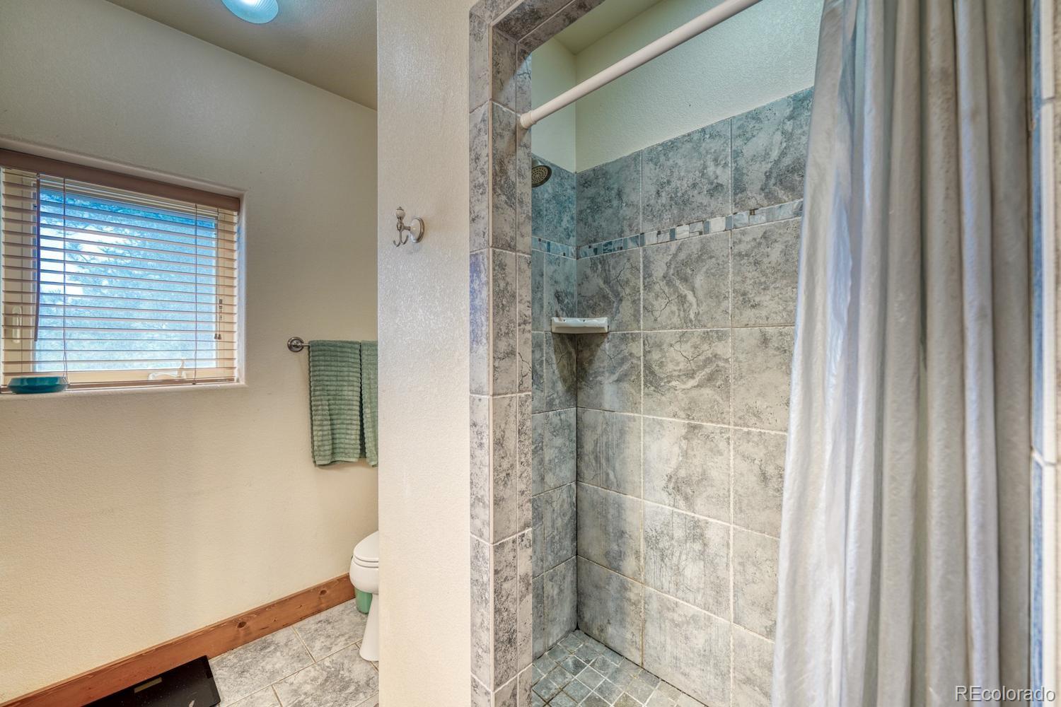 30800 West Ridge Buena Vista CO 81211