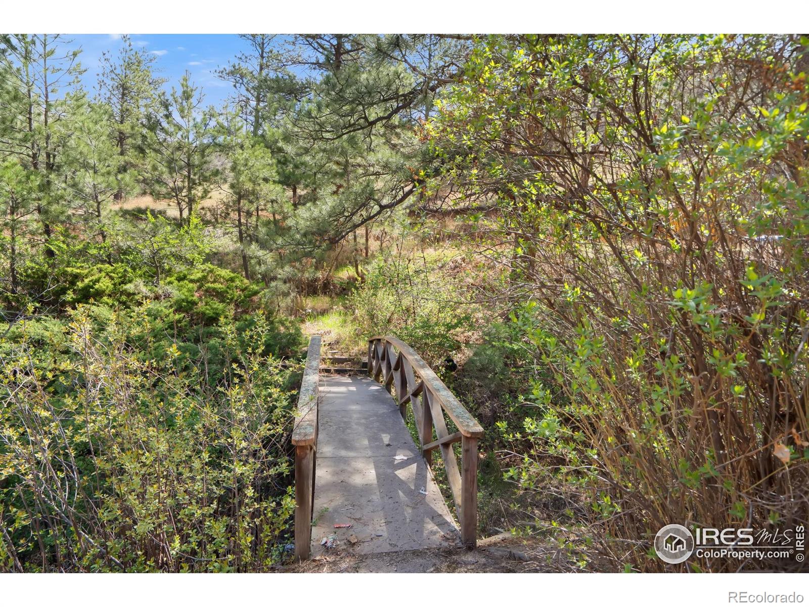 7301 Poudre Canyon Road Bellvue CO 80512
