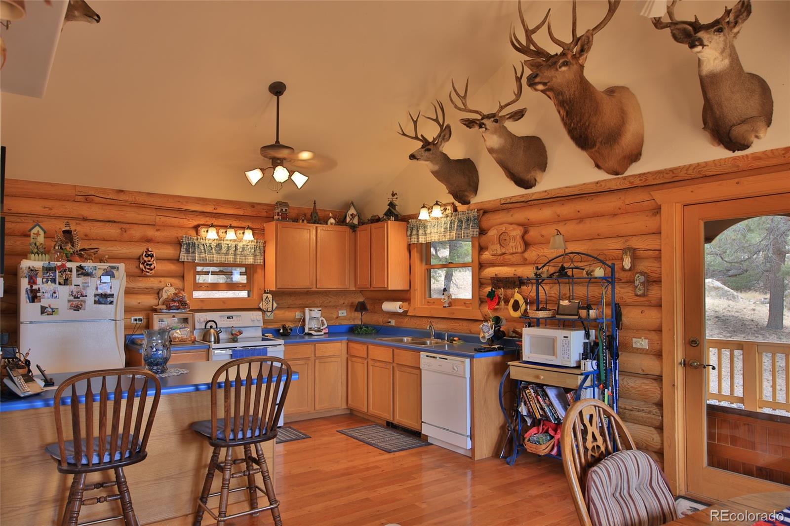 18842 Kimball Creek Road Collbran CO 81624