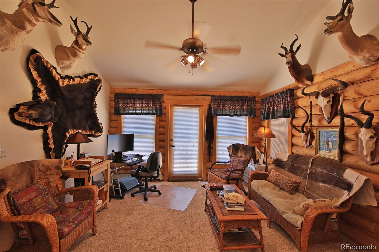 18842 Kimball Creek Road Collbran CO 81624