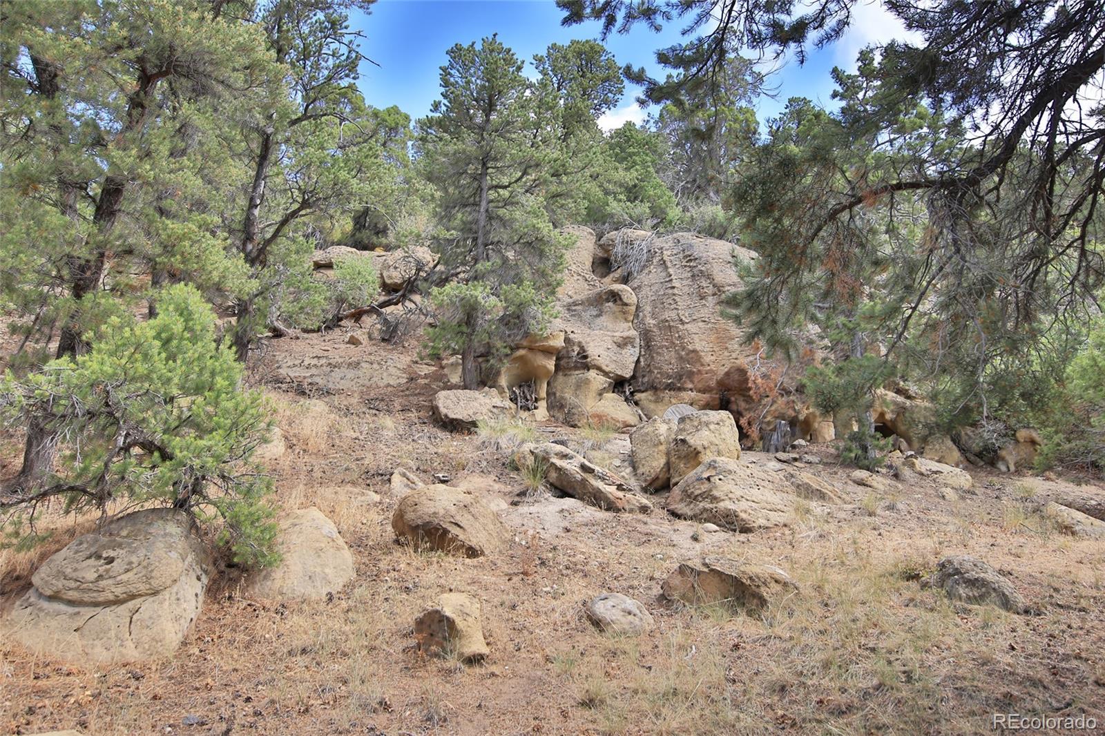 18842 Kimball Creek Road Collbran CO 81624