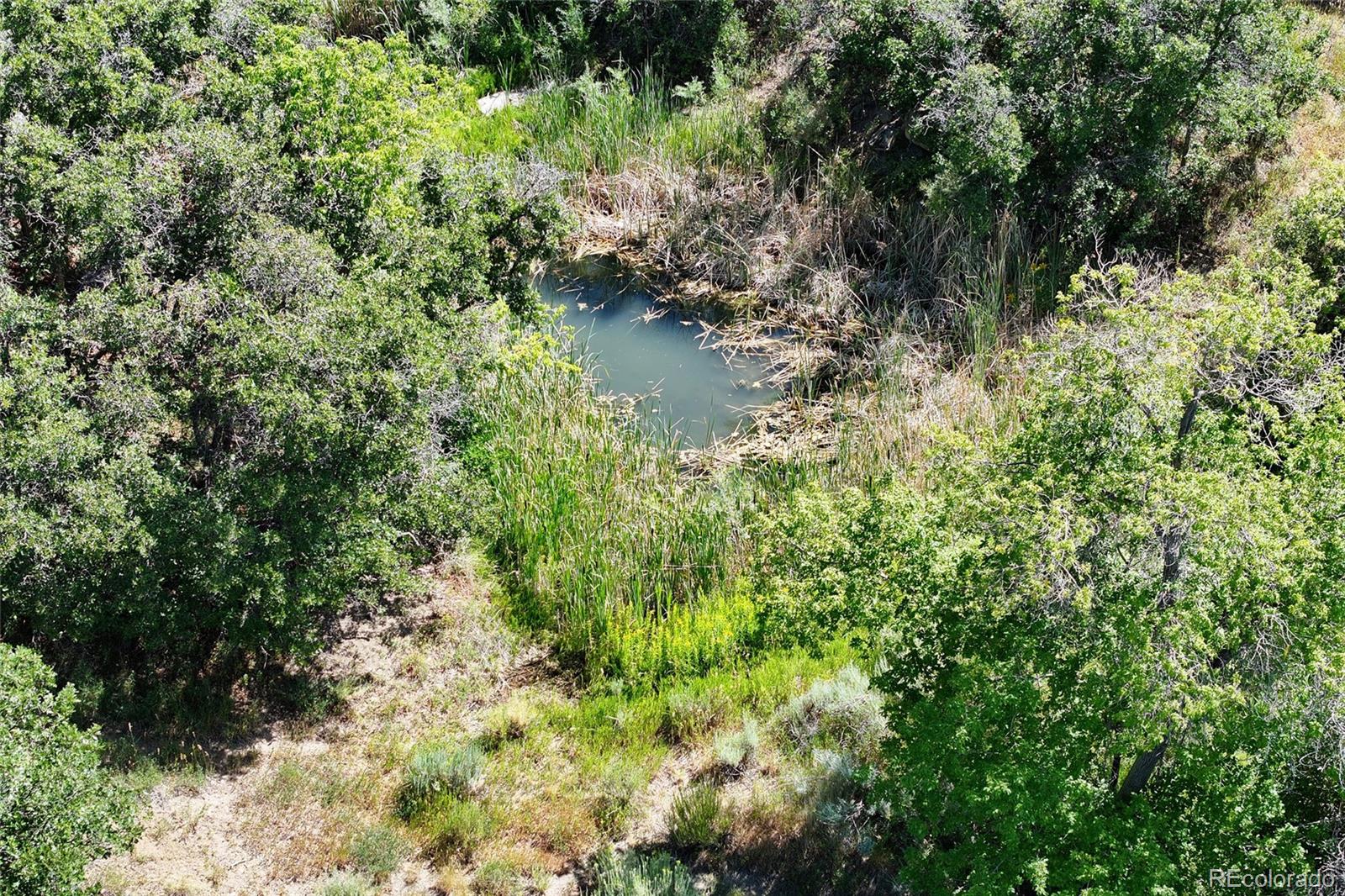 18842 Kimball Creek Road Collbran CO 81624