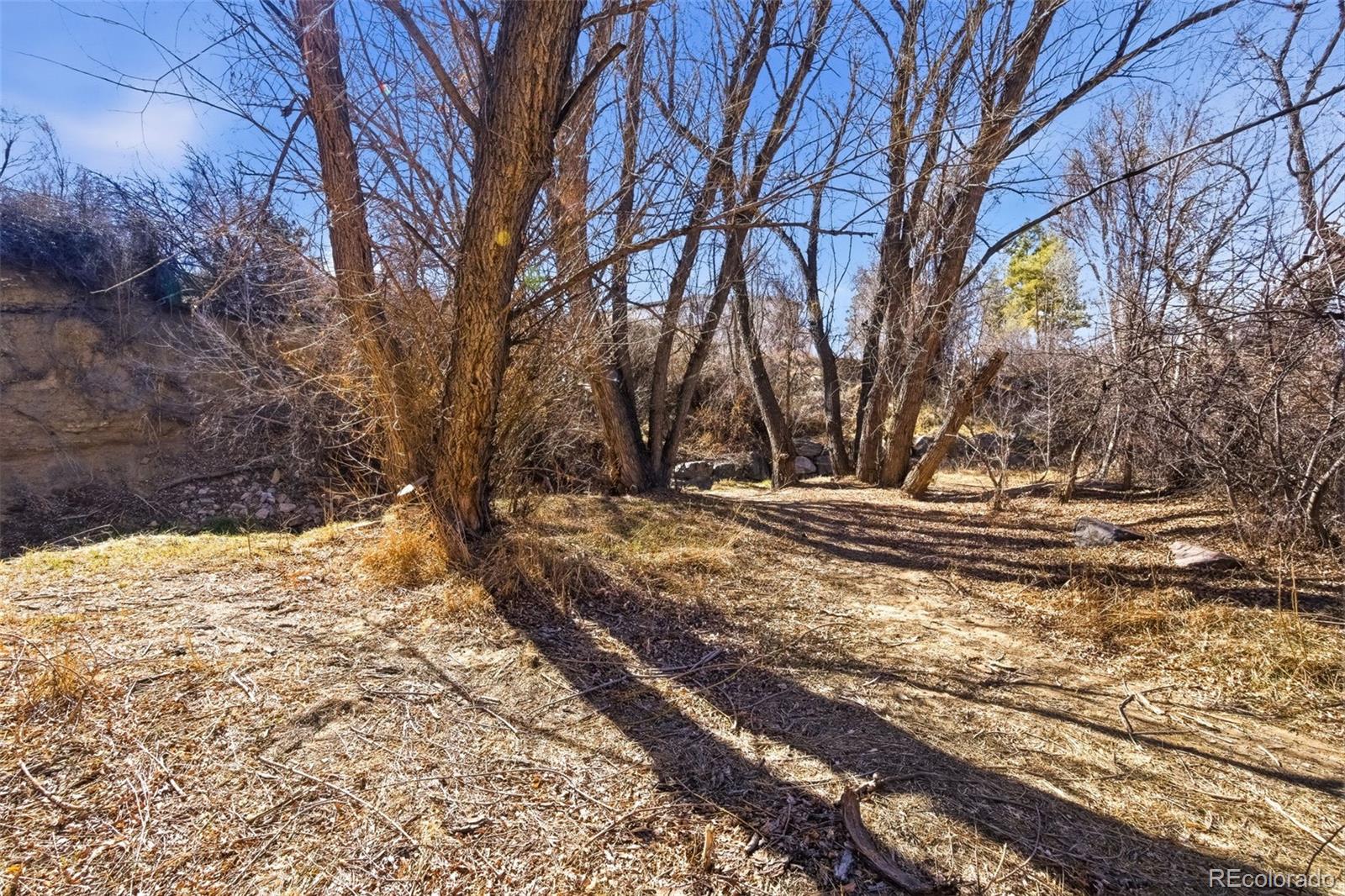 347 W Rafferty Gardens Avenue Littleton CO 80120
