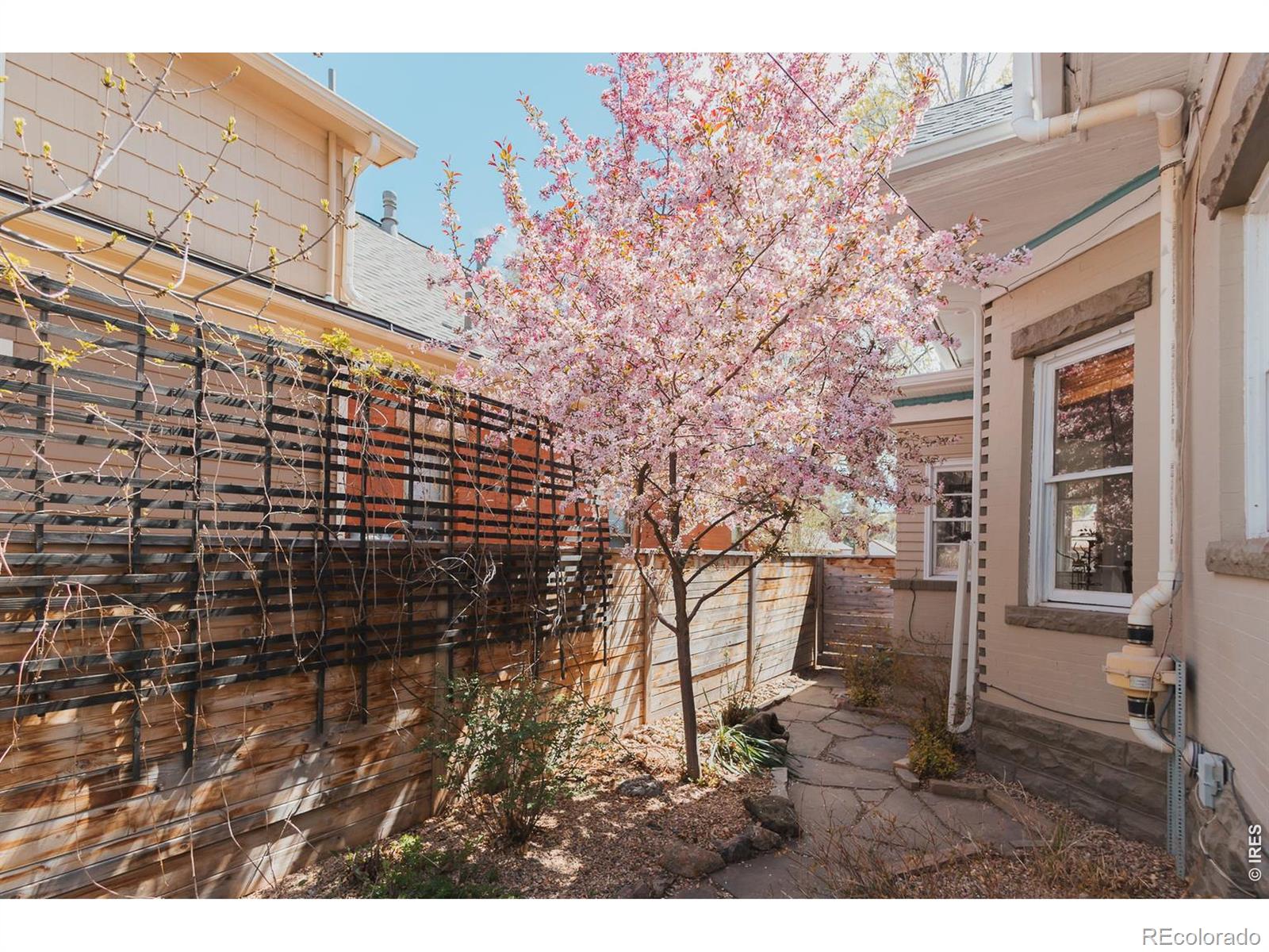 824 W Olive Street Fort Collins CO 80521