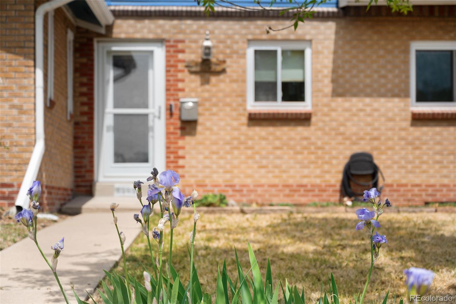 9565 W 52nd Avenue Arvada CO 80002