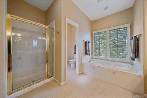 811 Moffat Court Castle Rock CO 80108