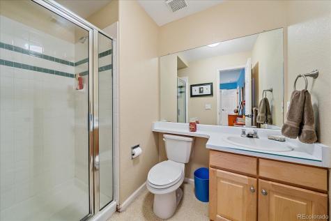 811 Moffat Court Castle Rock CO 80108