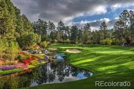 811 Moffat Court Castle Rock CO 80108