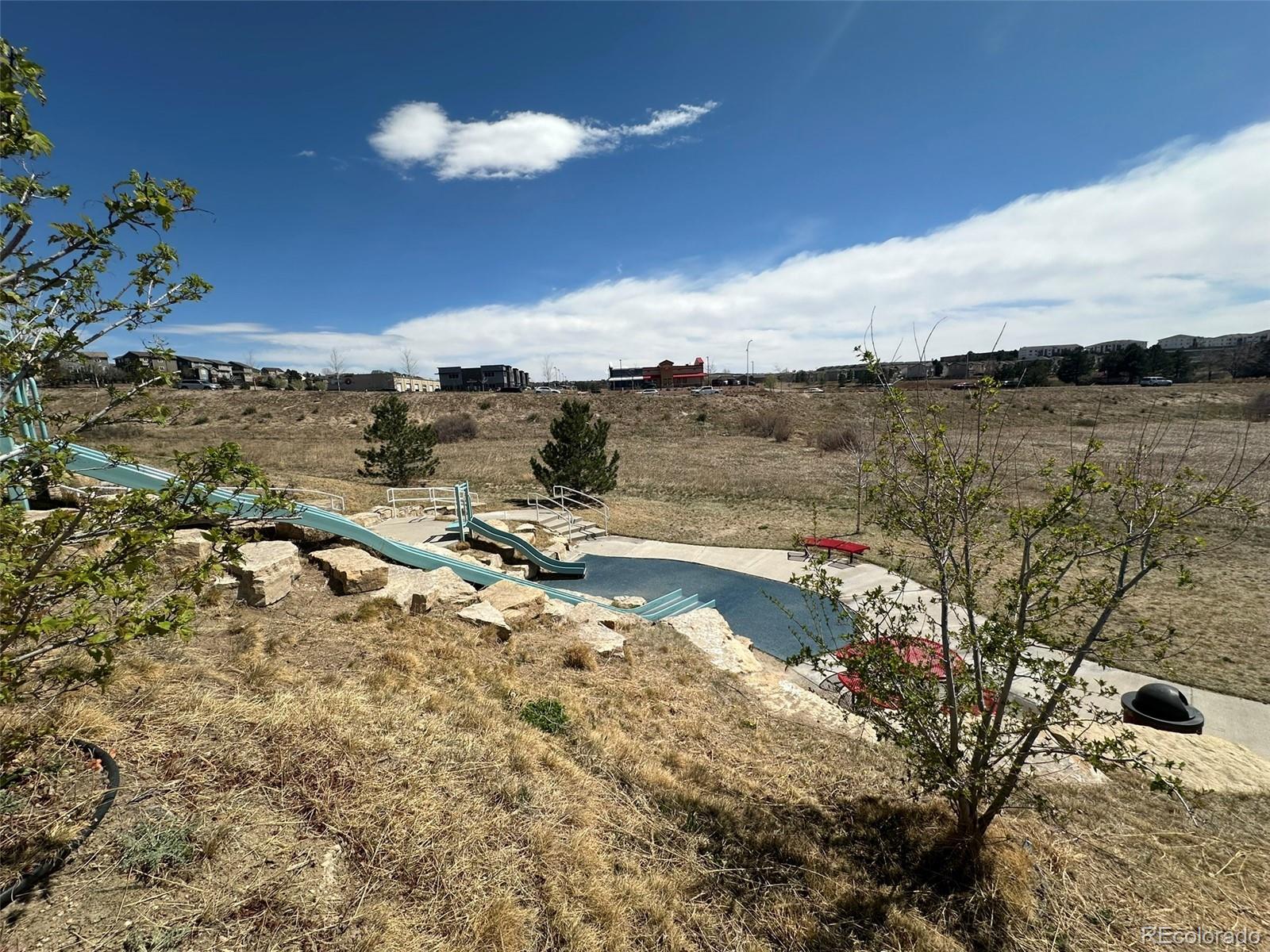 1238 Foothills Farm Way Colorado Springs CO 80921
