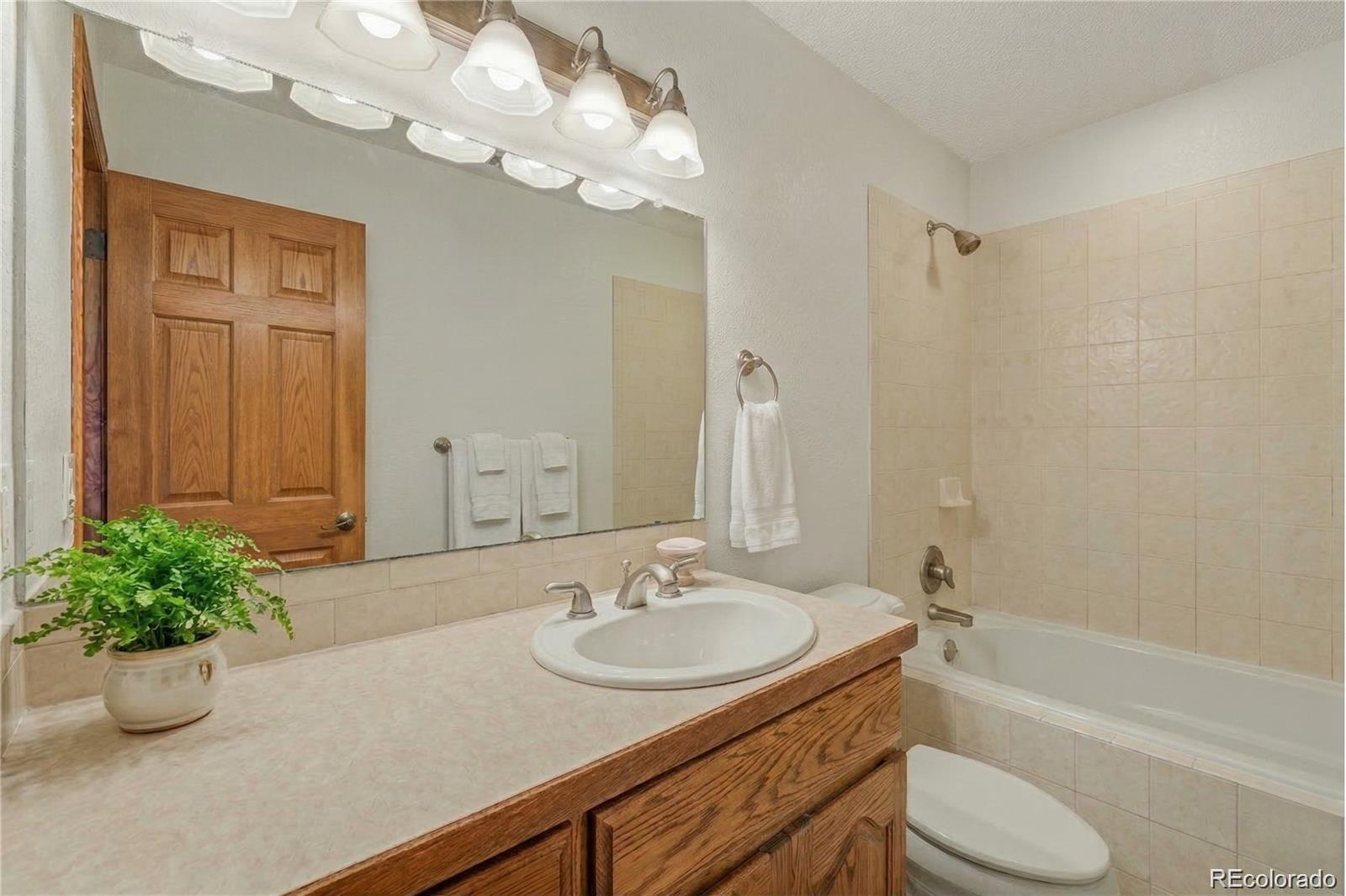960 Norway Maple Drive Loveland CO 80538