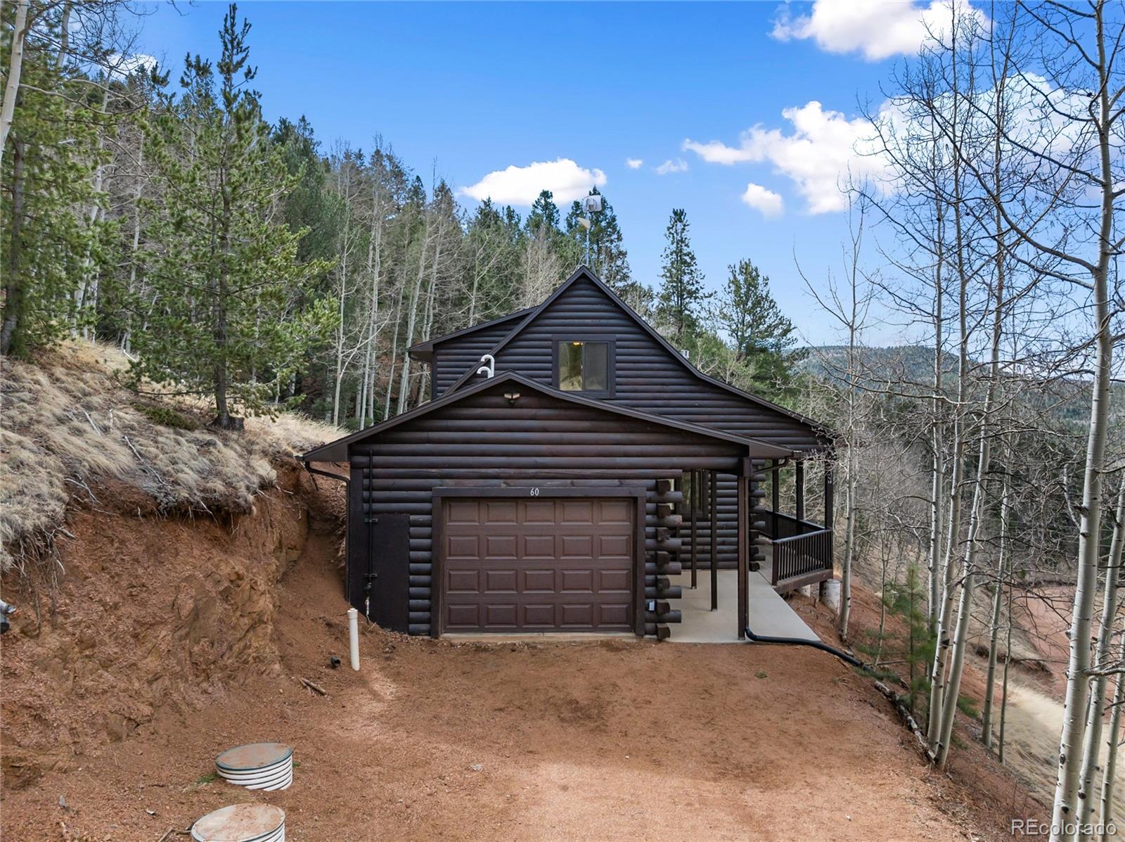 60 Beaver Pond Road Divide CO 80814