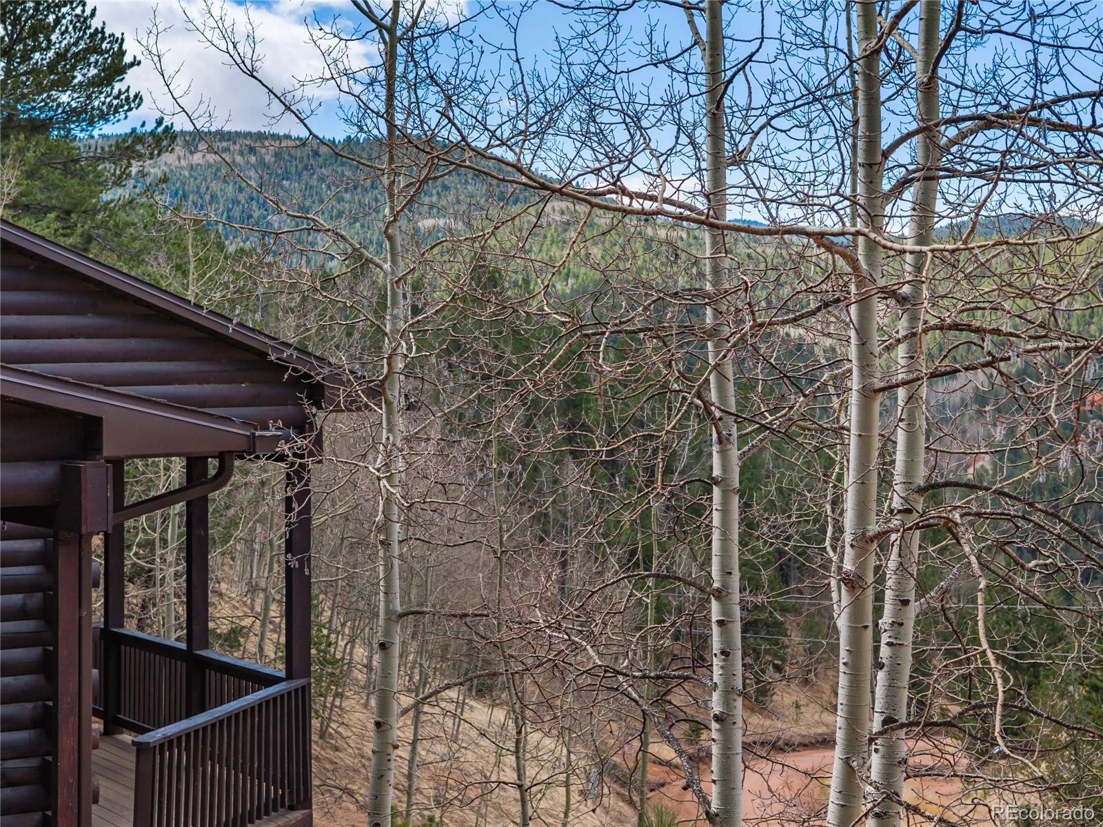 60 Beaver Pond Road Divide CO 80814