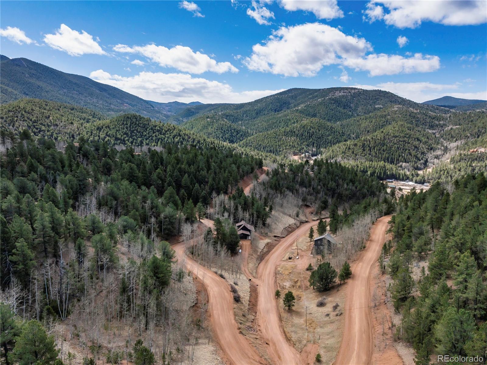 60 Beaver Pond Road Divide CO 80814