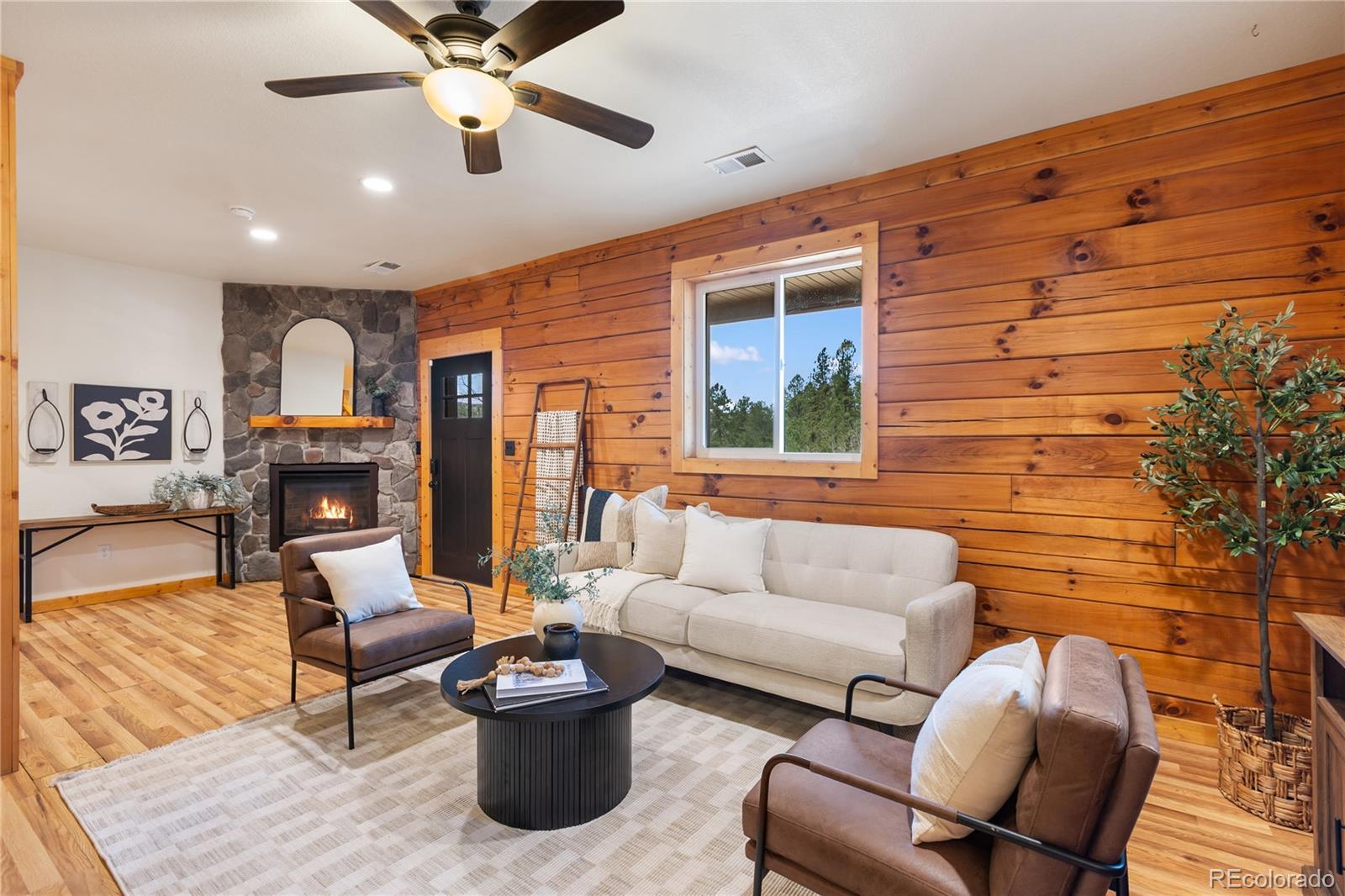 60 Beaver Pond Road Divide CO 80814