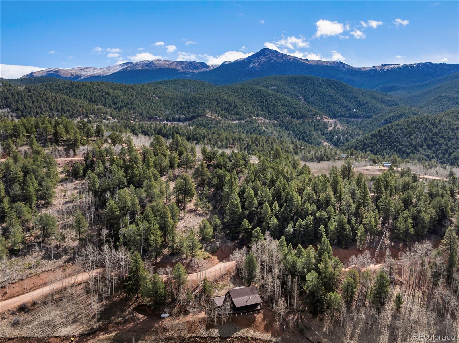 60 Beaver Pond Road Divide CO 80814