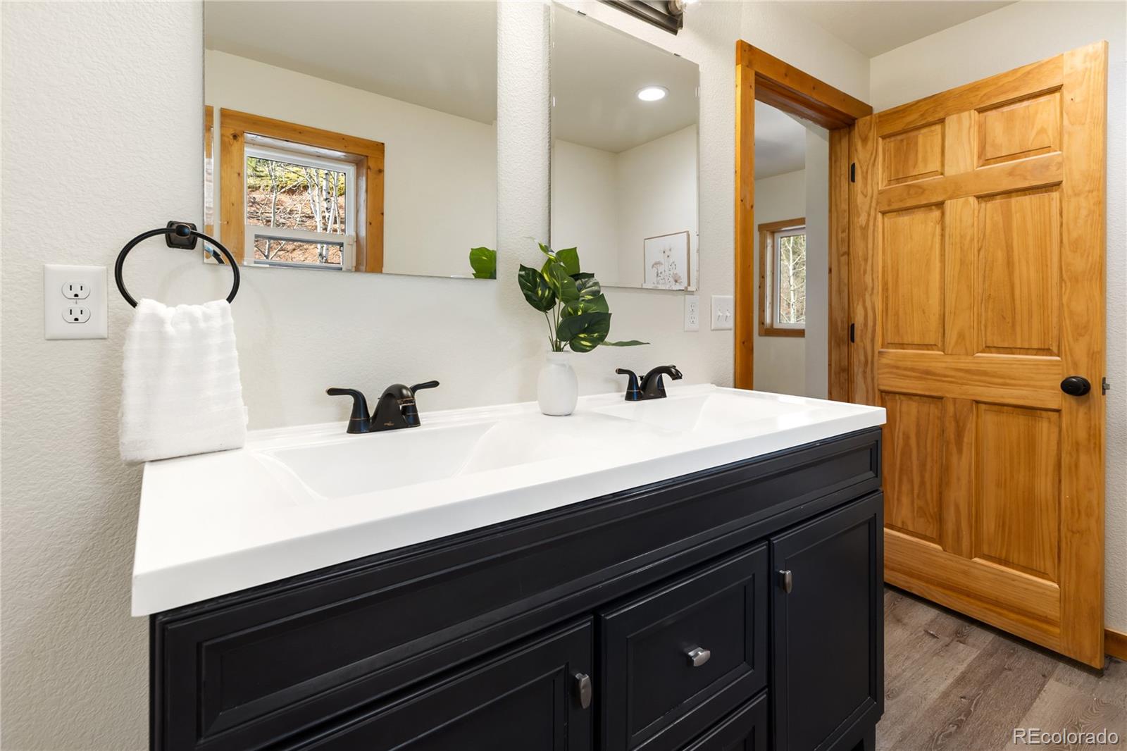 60 Beaver Pond Road Divide CO 80814