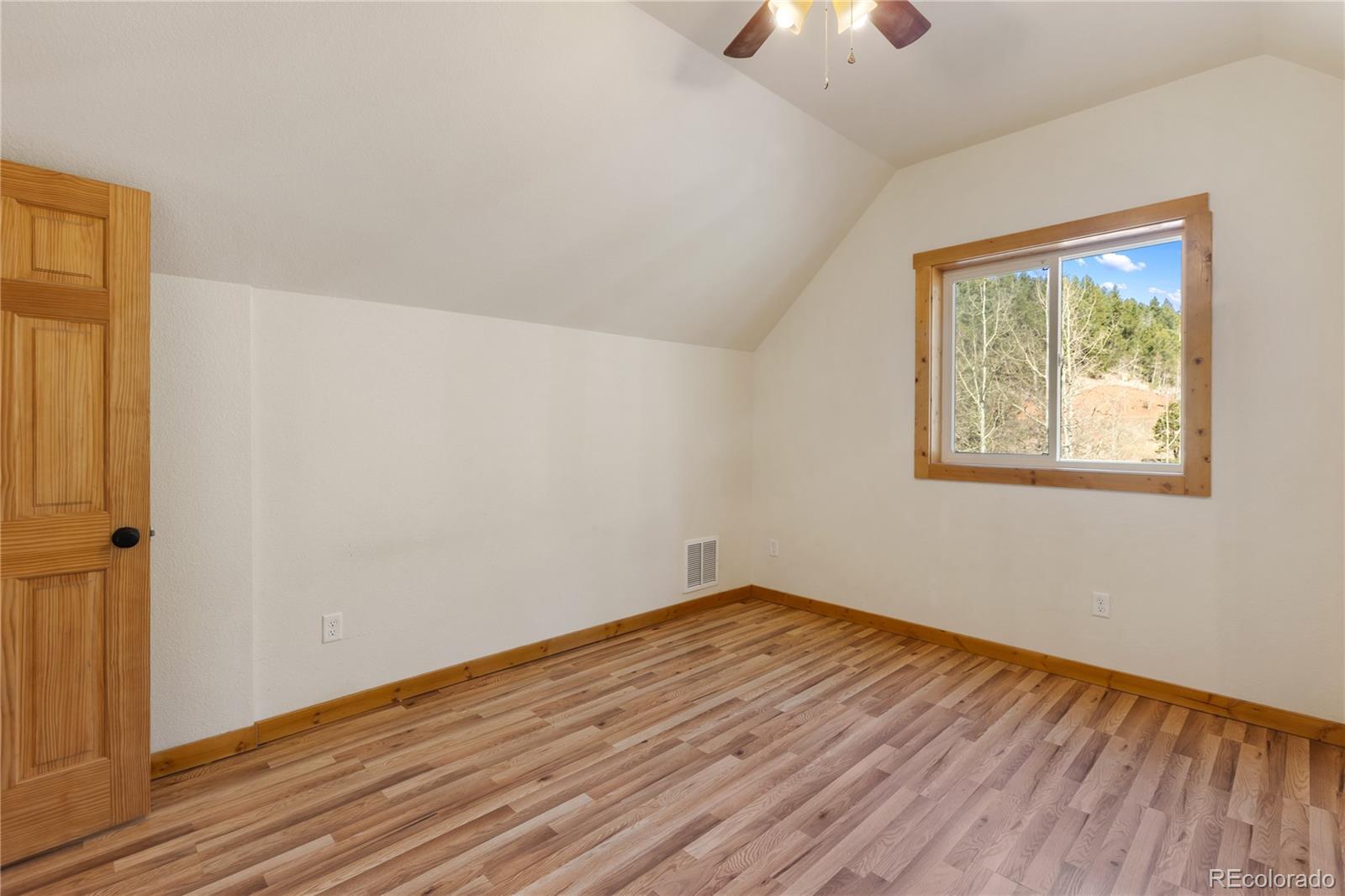 60 Beaver Pond Road Divide CO 80814