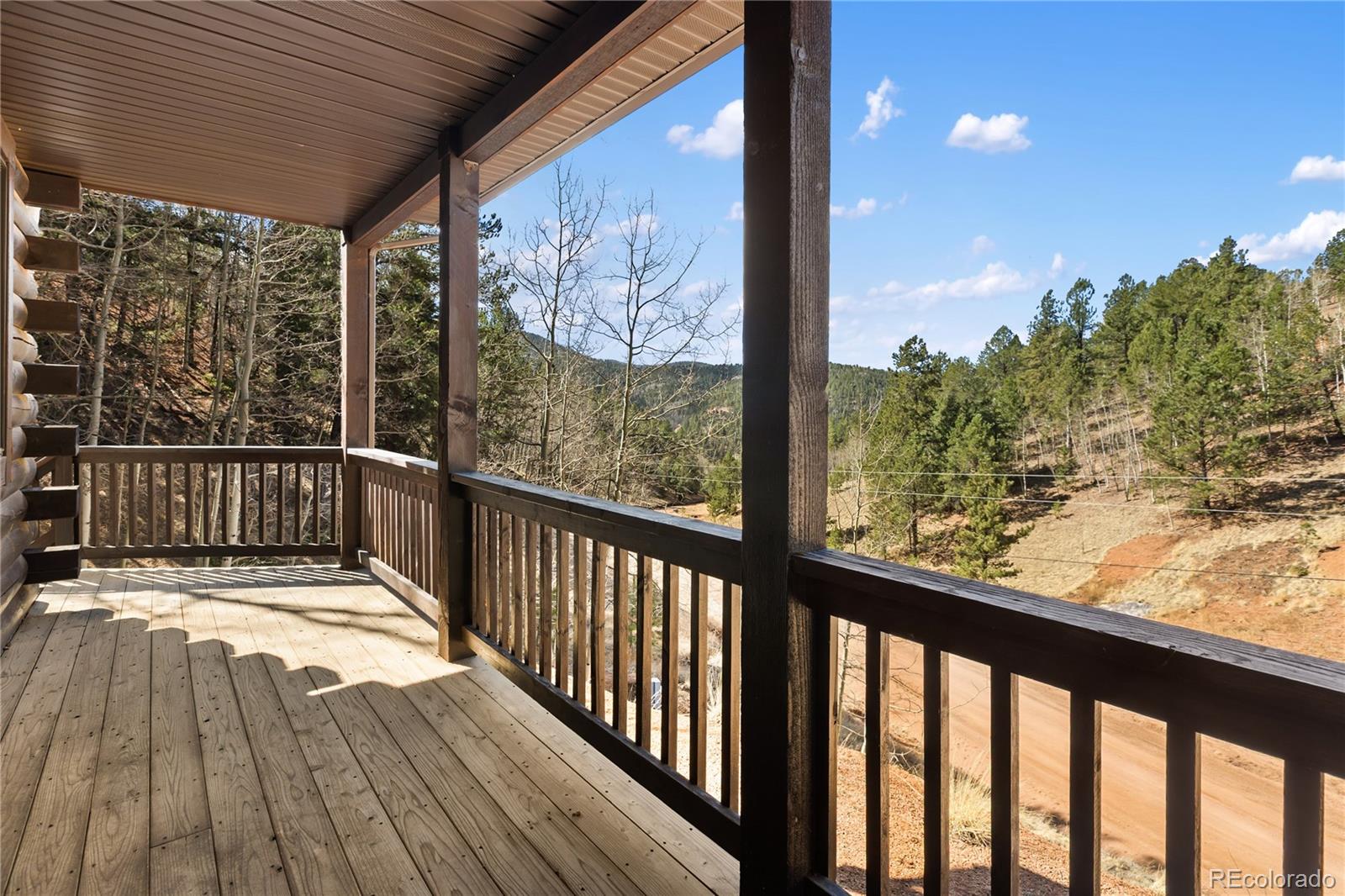 60 Beaver Pond Road Divide CO 80814