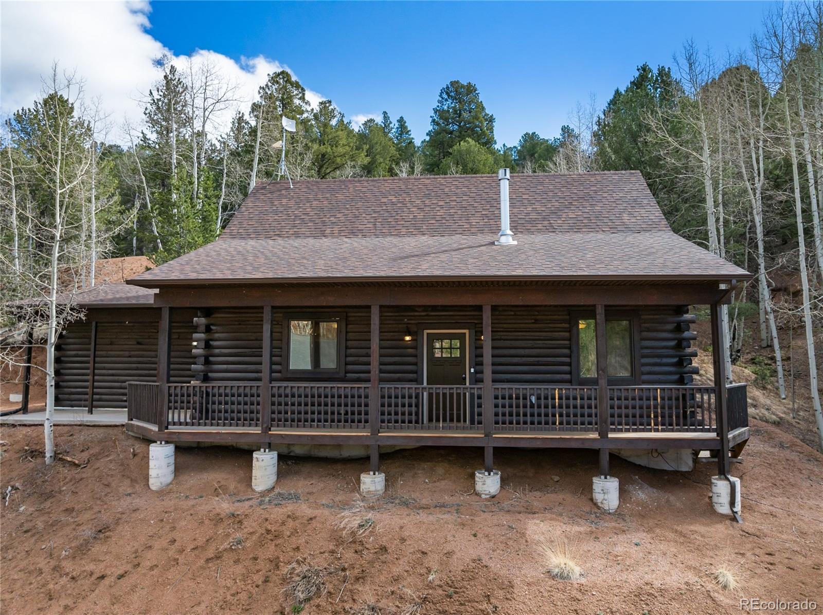 60 Beaver Pond Road Divide CO 80814
