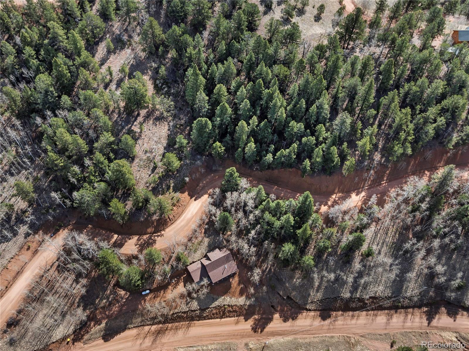 60 Beaver Pond Road Divide CO 80814