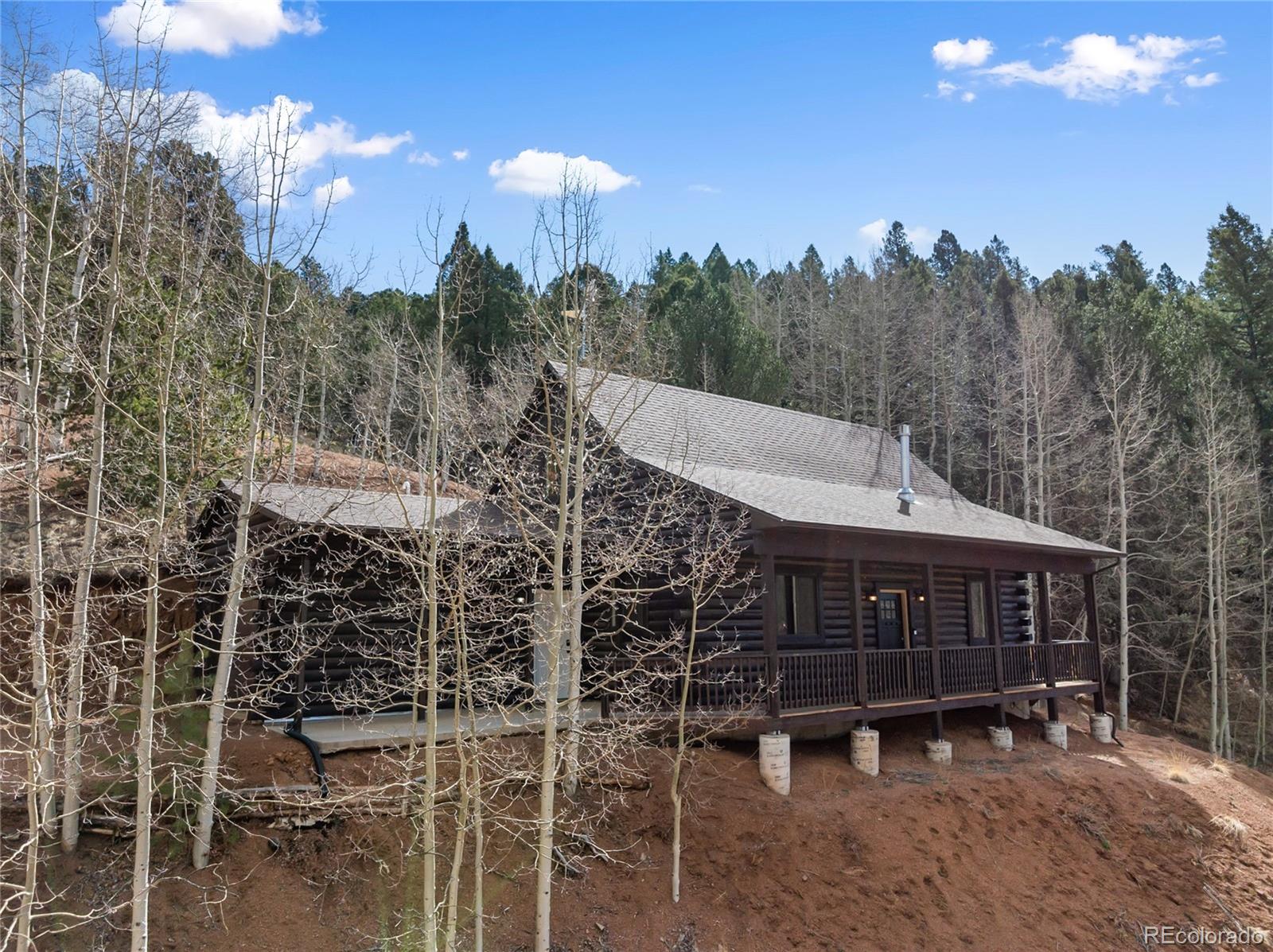 60 Beaver Pond Road Divide CO 80814
