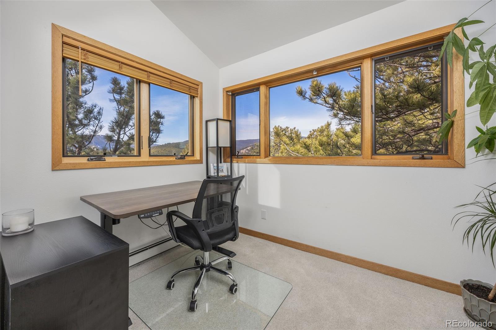 14 Sundown Trail Nederland CO 80466