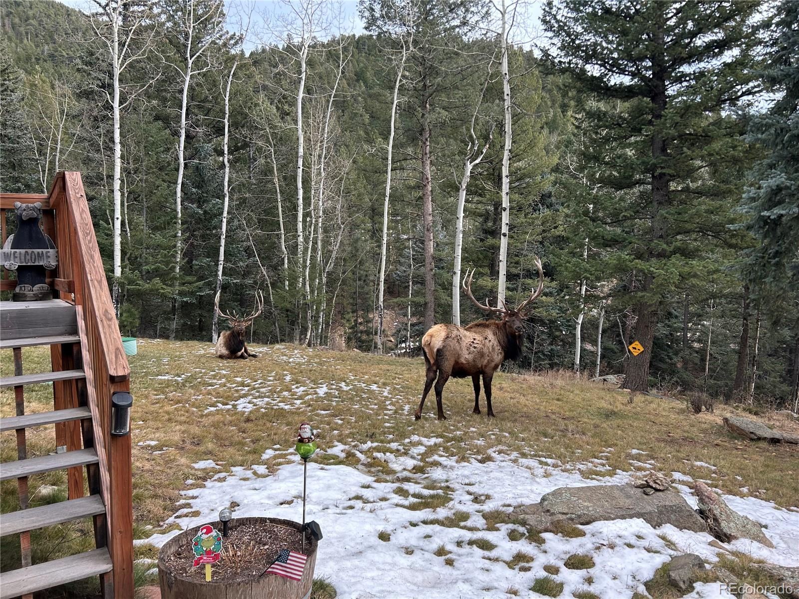 385 Snyder Mountain Road Evergreen CO 80439