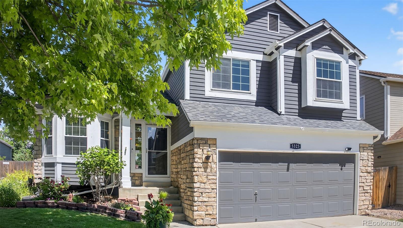 5323 E Hamilton Avenue Castle Rock CO 80104