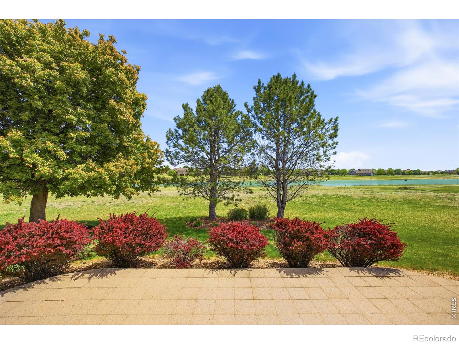 37018 Soaring Eagle Circle Severance CO 80550