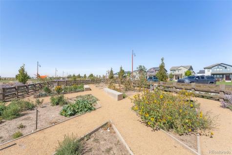 21574 E 59th Drive Aurora CO 80019